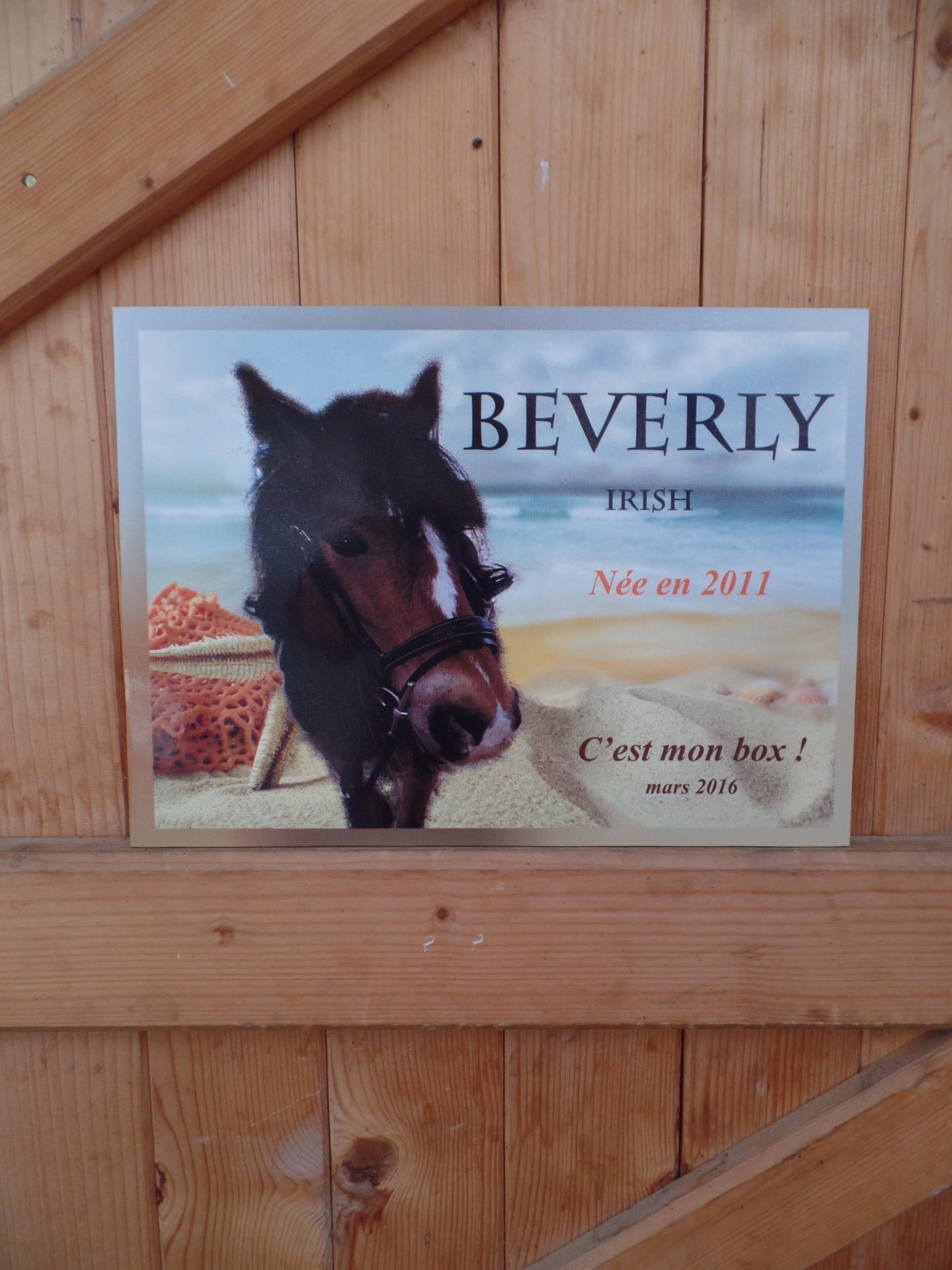 Defigraph 3d plaque de box cheval blargies